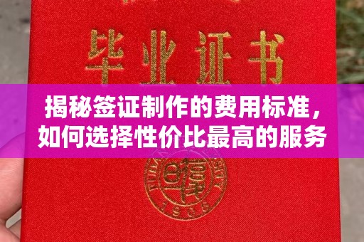 栾川揭秘签证制作的费用标准，如何选择性价比最高的服务？